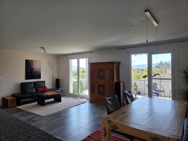 Moderne 1.5-Zimmer-Wohnung mit wunderschöner Aussicht in Villnachern 3