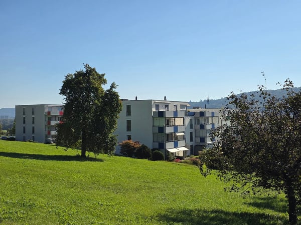 Moderne 1.5-Zimmer-Wohnung mit wunderschöner Aussicht in Villnachern 2
