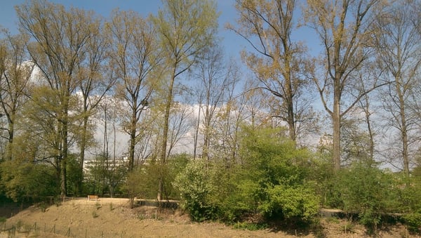 Moderne 1.5-Zimmer-Wohnung mit Balkon und Garage in Allschwil 2