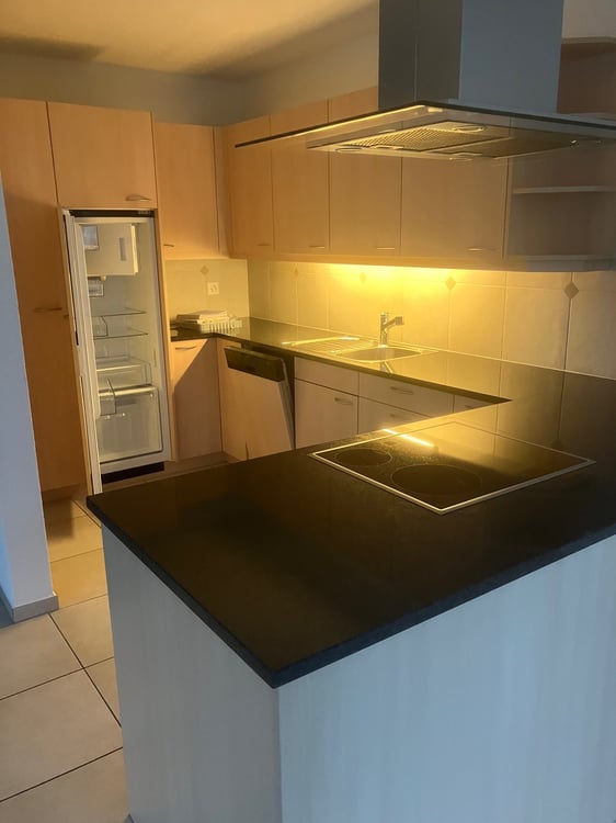 Moderne 1.5-Zimmer-Wohnung mit Bergblick in Glarus 6