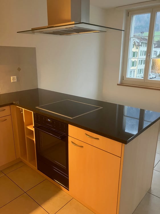 Moderne 1.5-Zimmer-Wohnung mit Bergblick in Glarus 4