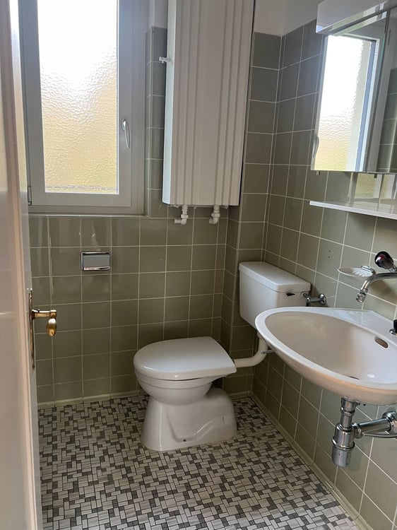 Befristet zu vermieten: 1.5-Zi.-Haus mit Garten in Stadt Zürich (ab sofort bis Februar 2027) 12