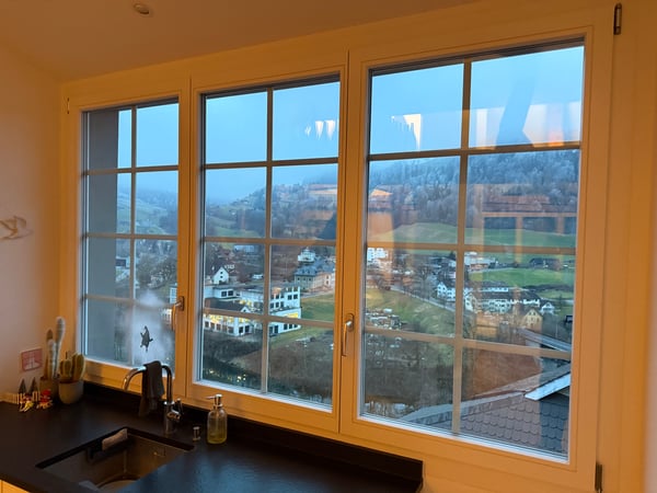 Eine der schönsten Wohnungen Lichtensteigs 3