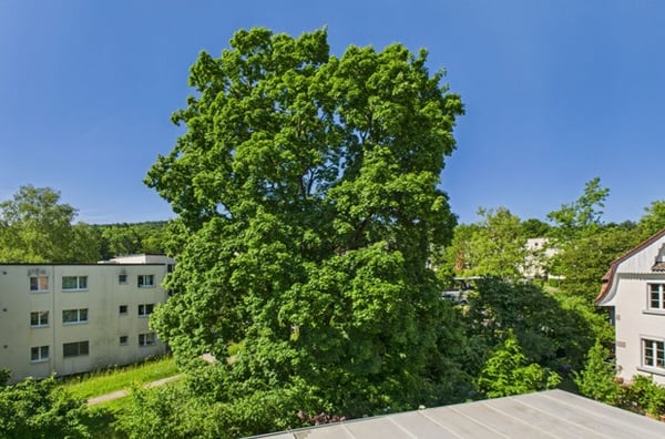 Exklusive 1.5 Zimmer Attikawohnung mit Kamin und 2 Terassen und 2 Garagenplätzen 10