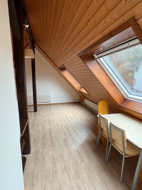 Gemütliche 2.5-Zimmer-Wohnung in Wöschnau 3