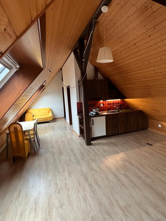 Gemütliche 2.5-Zimmer-Wohnung in Wöschnau 2