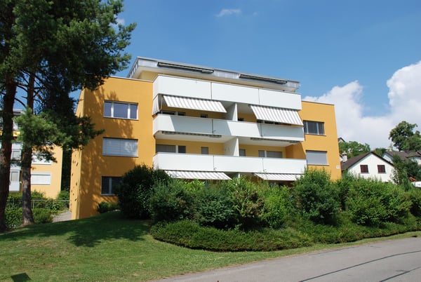 Helle 1½-Zi-Wohnung  mit sonnigem See- und Bergpanorama 1