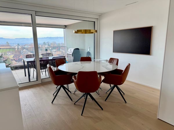 Moderne 1.5-Zimmer-Attikawohnung mit Seesicht im Papieri-Areal 2