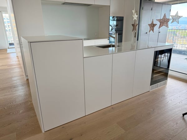 Moderne 1.5-Zimmer-Attikawohnung mit Seesicht im Papieri-Areal 3