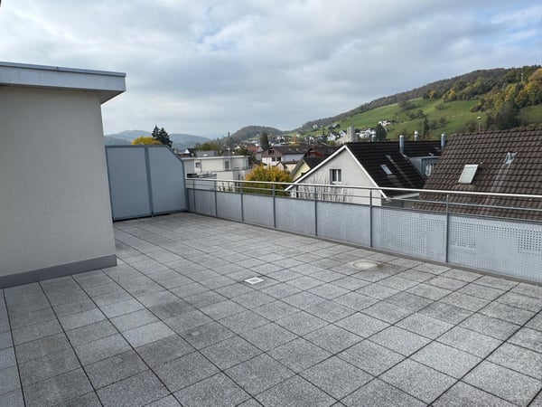 Moderne 1.5-Zimmer-Attikawohnung mit riesiger Terrasse