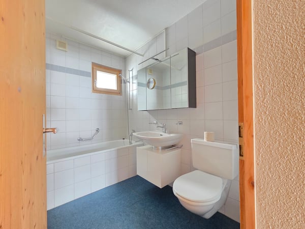 Mehrfamilienhaus mit Umschwung 10