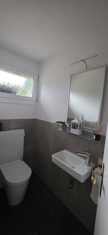 Doppeleinfamilienhaus in Adliswil mit gepflegtem Garten 4