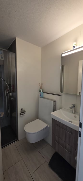 Doppeleinfamilienhaus in Adliswil mit gepflegtem Garten 5