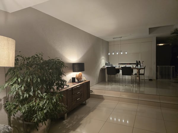 Doppeleinfamilienhaus in Adliswil mit gepflegtem Garten 3