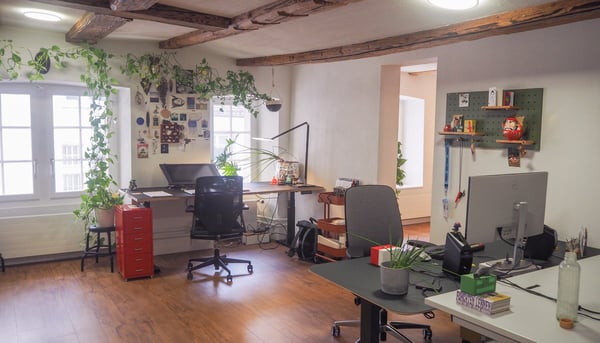 Raum in charmantem Gemeinschaftsatelier im historischen Altbau in Olten 5