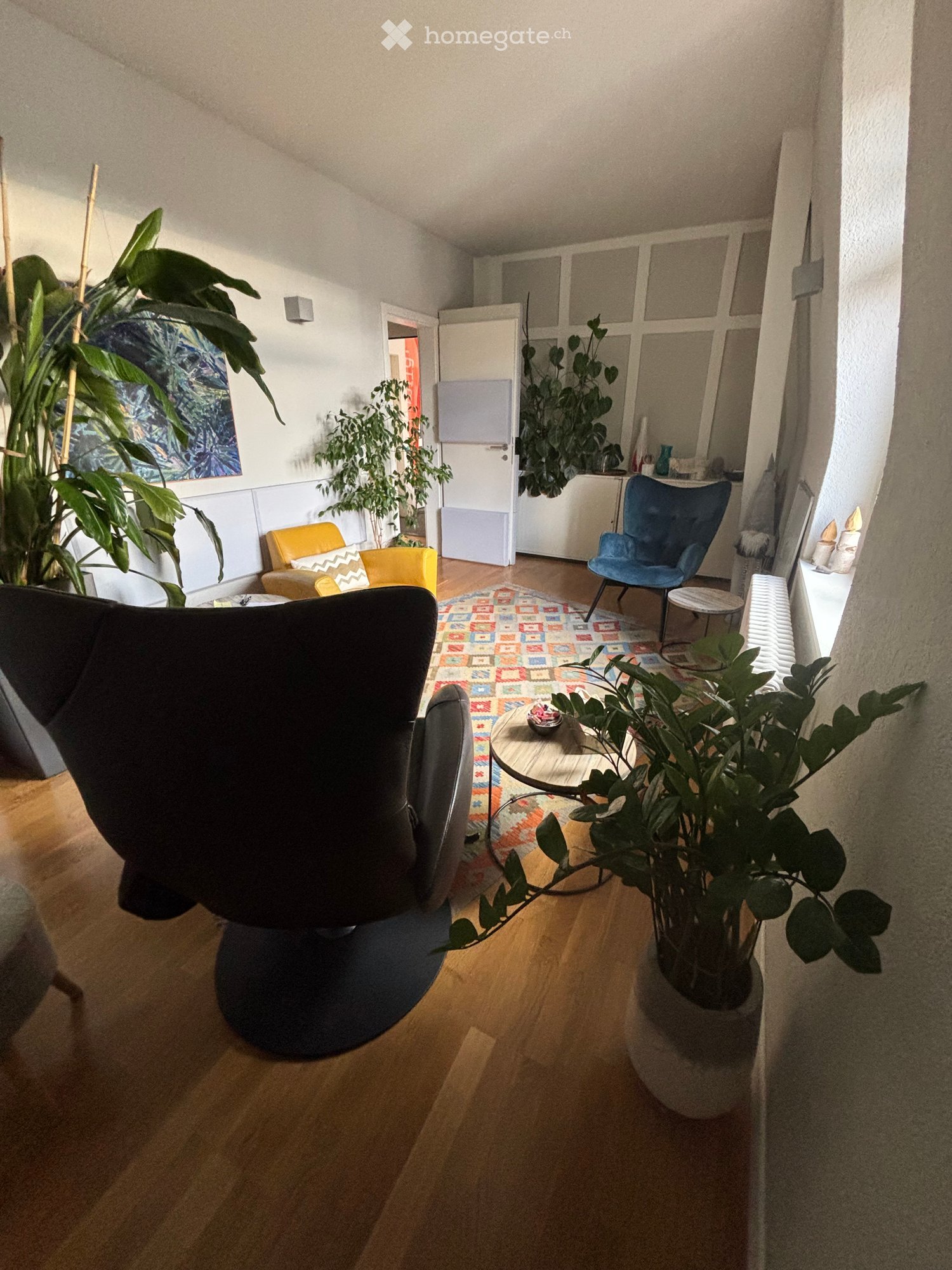 Living room with wooden floors, colorful rug, plants, and furniture