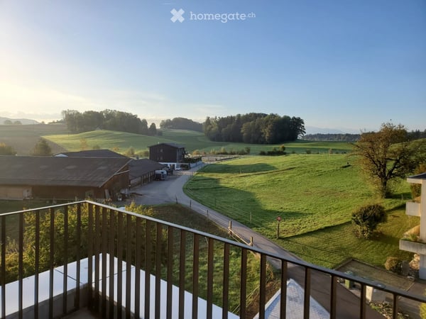 Exklusive 7.5-Zimmer-Dachwohnung mit Aussicht in Zwillikon 3