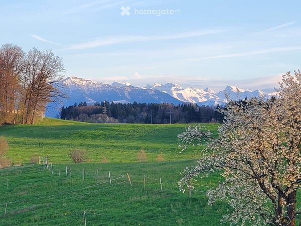 Exklusive 7.5-Zimmer-Dachwohnung mit Aussicht in Zwillikon 2