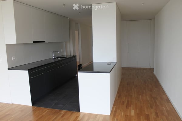 4 1/2 Zimmer-Attika-Wohnung 2