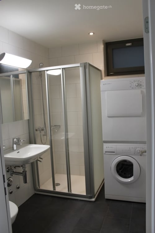 4 1/2 Zimmer-Attika-Wohnung 3