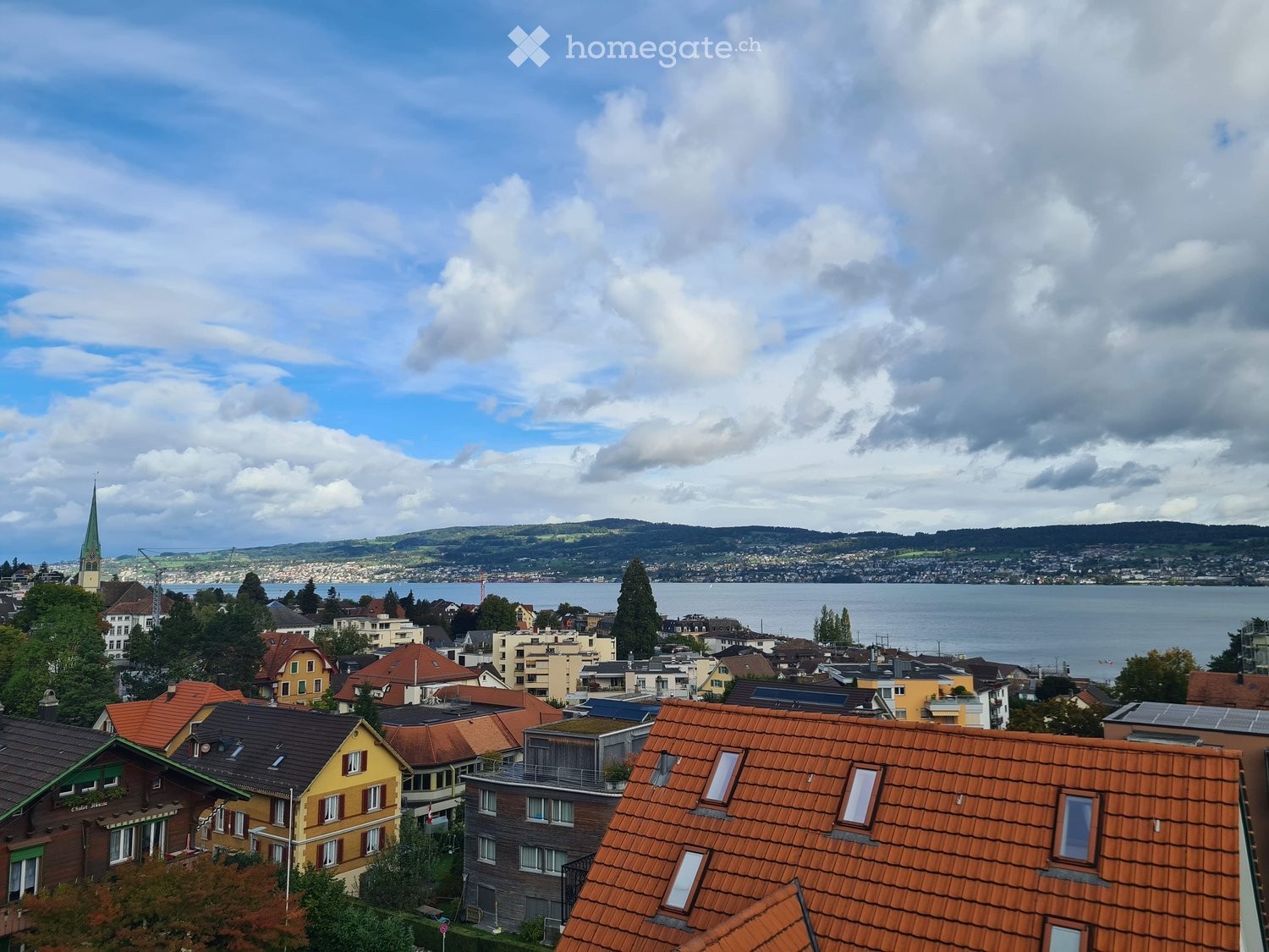 Cityscape with houses, lake, mountains, and trees
