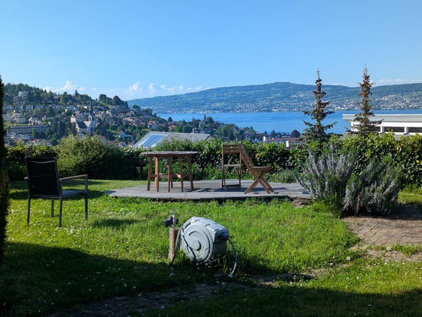 9.5-Zimmer-Reihenhaus mit Panorama-Seesicht im Steuerparadies Wollerau 19