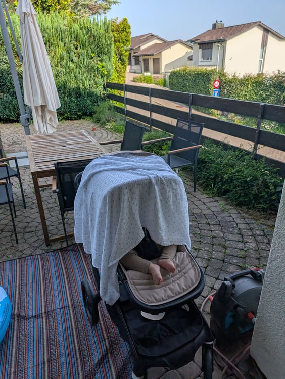 9.5-Zimmer-Reihenhaus mit Panorama-Seesicht im Steuerparadies Wollerau 20