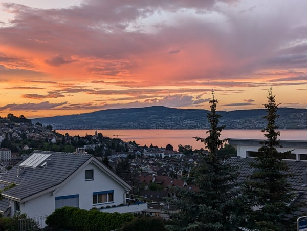 9.5-Zimmer-Reihenhaus mit Panorama-Seesicht im Steuerparadies Wollerau 5