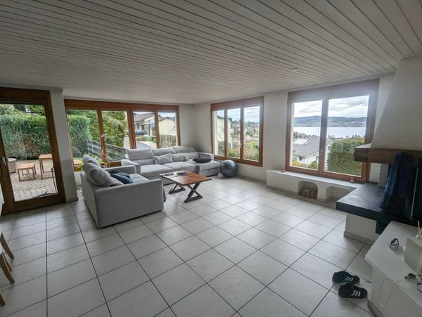 9.5-Zimmer-Reihenhaus mit Panorama-Seesicht im Steuerparadies Wollerau 1