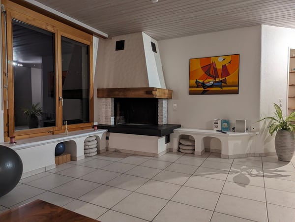 9.5-Zimmer-Reihenhaus mit Panorama-Seesicht im Steuerparadies Wollerau 4