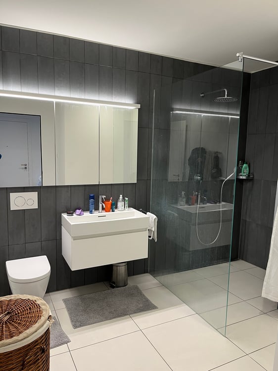 Moderne 4.5-Zimmer-Wohnung mit Seeblick am Mythenquai 3