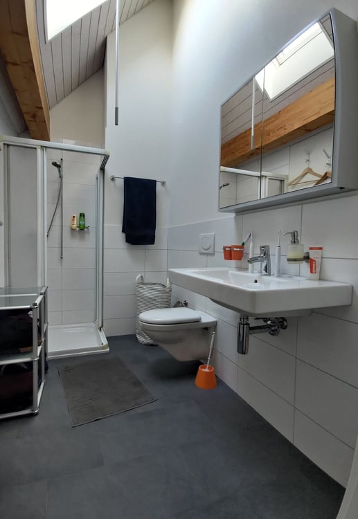 Grosszügiges 9.5 Zimmer Doppeleinfamilienhaus in Maschwanden 6