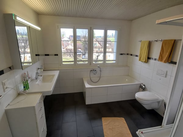 Grosszügiges 9.5 Zimmer Doppeleinfamilienhaus in Maschwanden 5