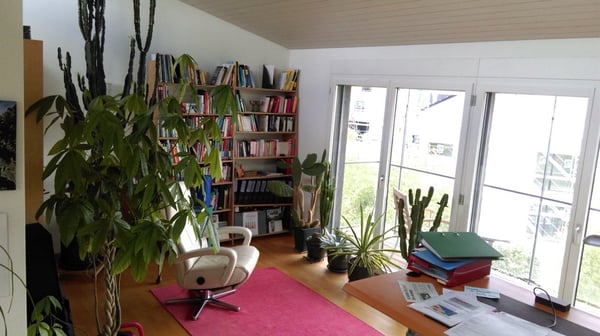 Gartentraum für Familien: 9½-Zi.-Doppelhaushälfte mit grossem Garten & Garage in Affoltern a.A. 7