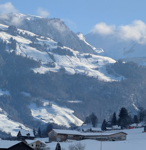 Grosszügiges Einfamilienhaus mit Garten &  Doppelgarage in ruhiger Lage in Stans zu vermieten 20