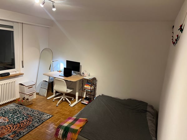 Cozy 2-Room Apartment with Balcony in Basel 5