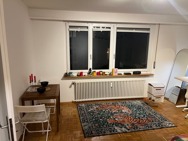 Cozy 2-Room Apartment with Balcony in Basel 3