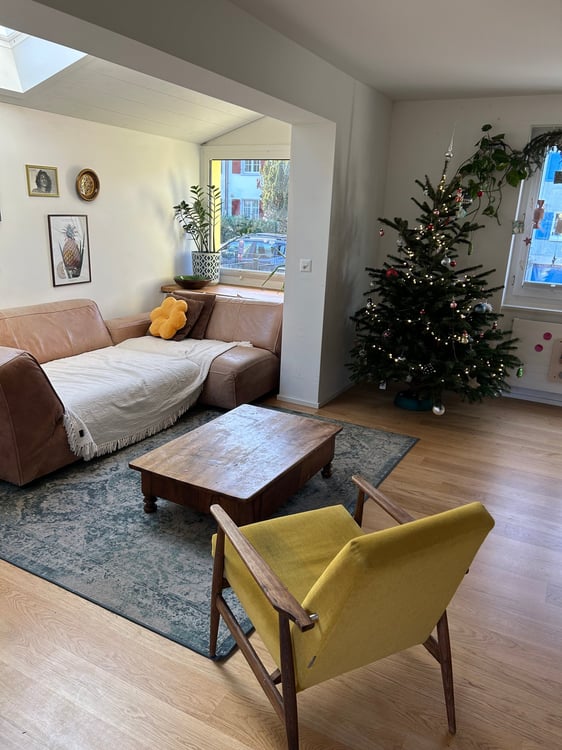 Reihenendhaus in Riehen 2