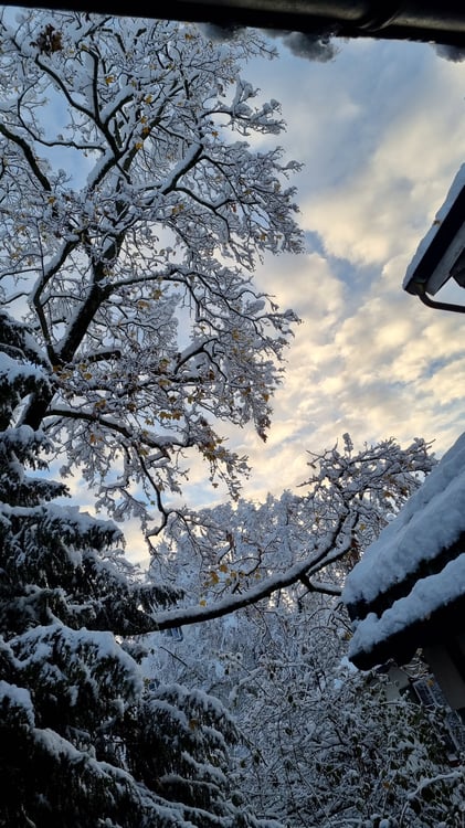 Secluded 3-Room Duplex in Historic Basel 18