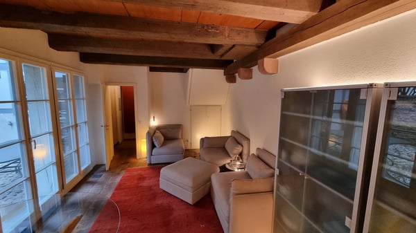 Secluded 3-Room Duplex in Historic Basel 3