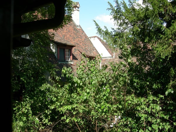 Secluded 3-Room Duplex in Historic Basel 19