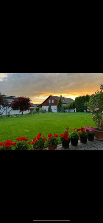 Grosszügige 8.5-Zimmer-Duplex-Wohnung mit Garten in Geroldswil 11