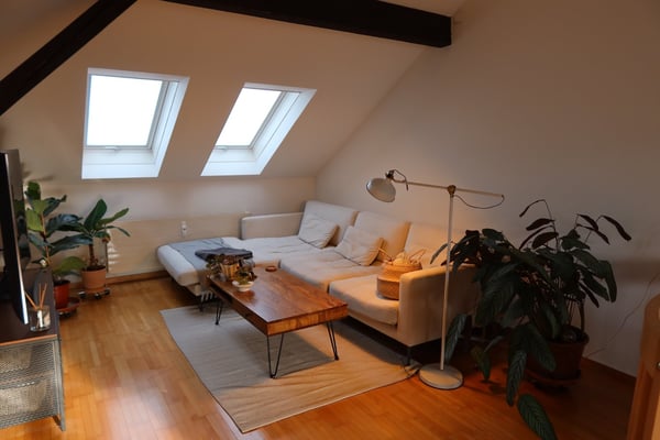 Neues Jahr - neue Wohnung (grösser und komfortabler) ? 8