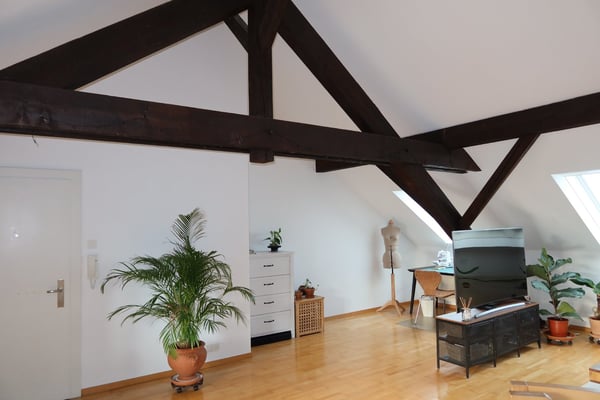 Neues Jahr - neue Wohnung (grösser und komfortabler) ? 5