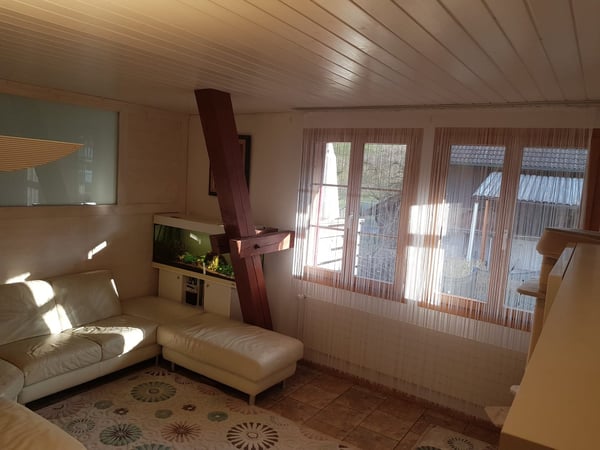 Duplex-/Maisonette-Wohnung in Mettendorf TG 4