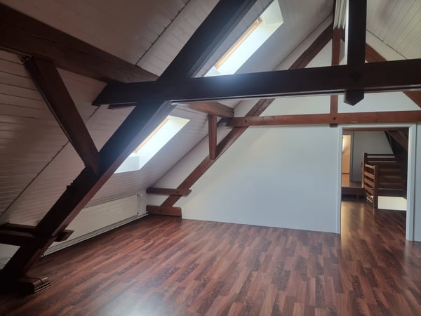 Duplex-/Maisonette-Wohnung in Mettendorf TG 18