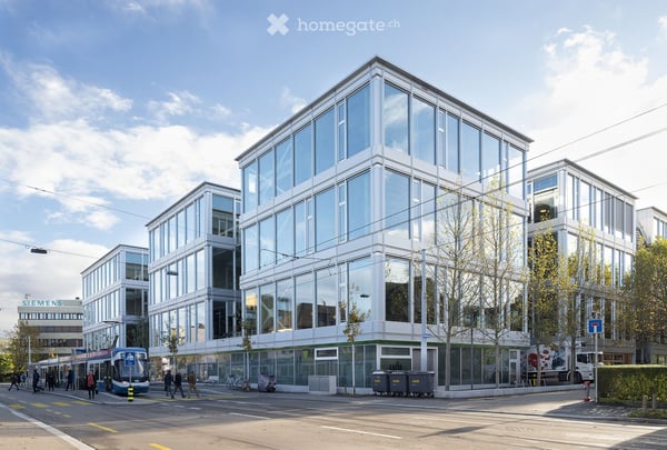 Exklusive Vermietung: Modernes Grossraumbüro (980 m²) – Albisriederstrasse 253, 8047 Zürich 9
