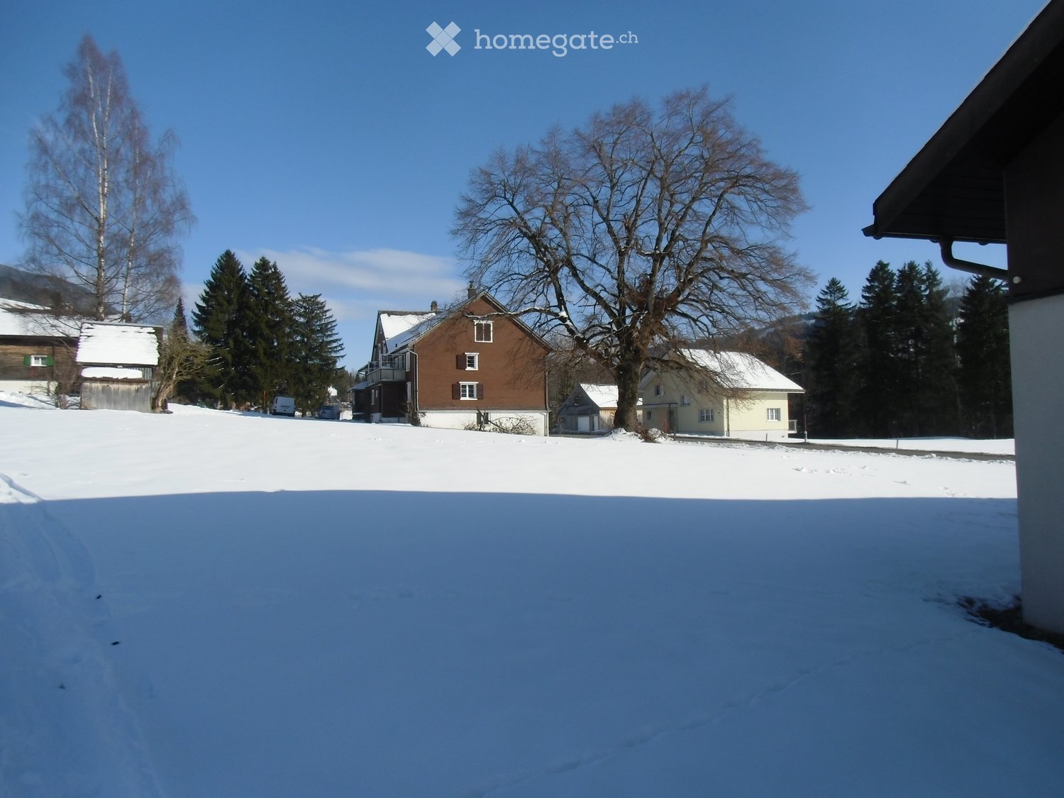 3 houses covered in snow, surrounded by trees, distant mountains, snowy landscape