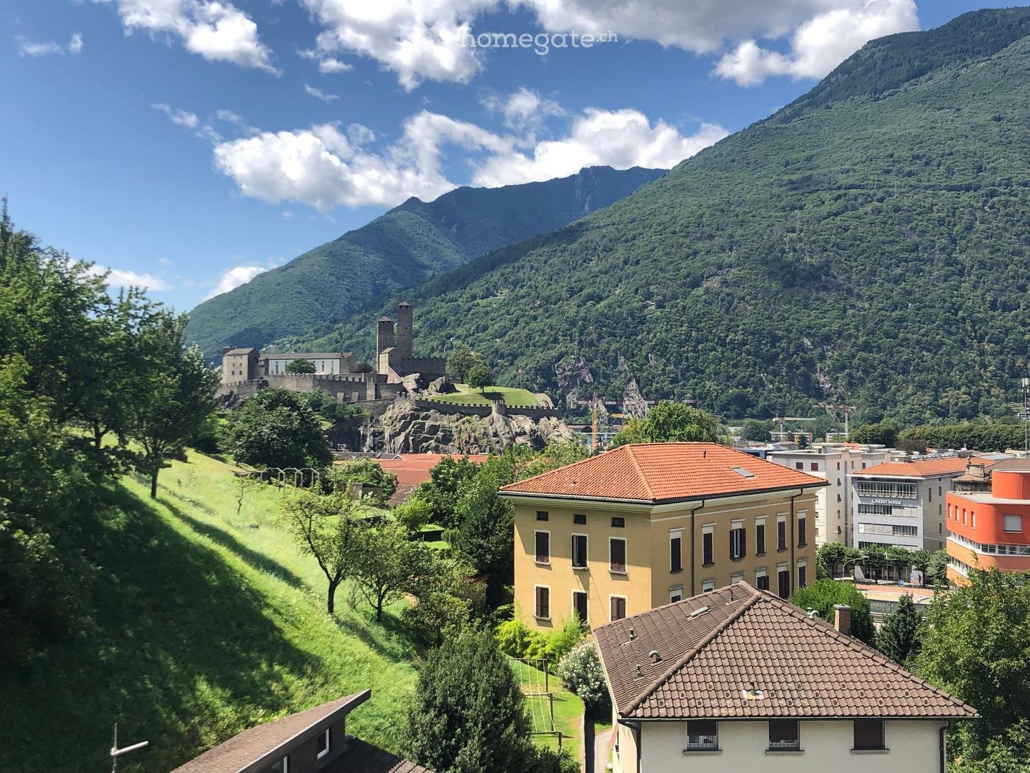 hillside with grass, buildings with red roofs, castle, mountains in the background