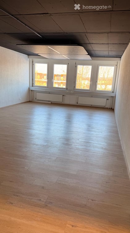 Büro in ruhiger Lage, 1.7km zur Autobahn, phantastische Aussicht 6